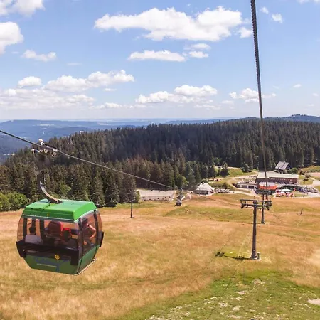 Haus Tanneck - Fewo 2- Feldberg Im Schwarzwald - #a32631 Lejlighed