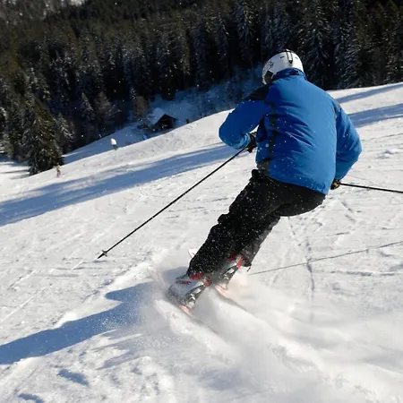 Haus Tanneck - Fewo 2- Feldberg Im Schwarzwald - #a32631 Lejlighed *