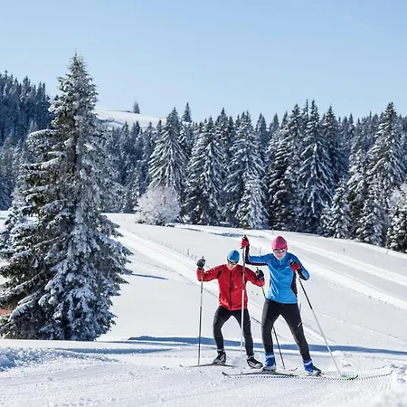 Haus Tanneck - Fewo 2- Feldberg Im Schwarzwald - #a32631 Lejlighed