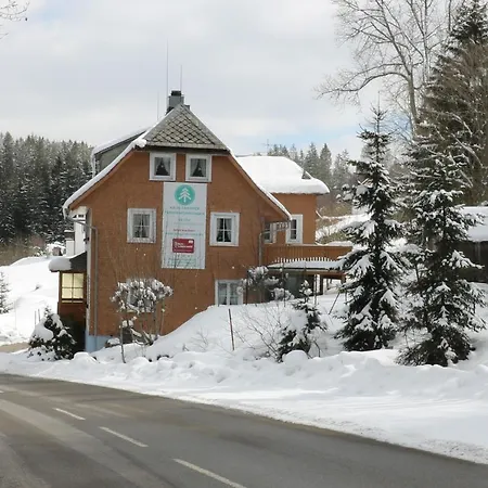 Lejlighed Haus Tanneck - Fewo 2- Feldberg Im Schwarzwald - #a32631 Rotwasser